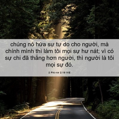 Picture 06 - 2 Phi-rơ 2:19 VIE - chúng nó hứa sự tự do cho người, mà - Bible Verse Picture