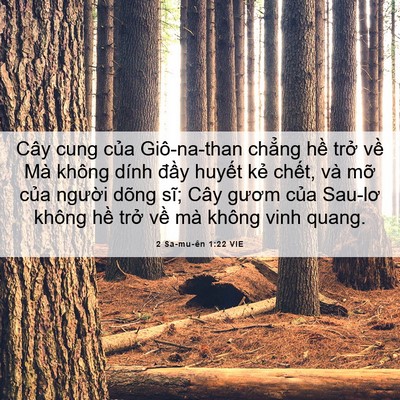 Picture 06 - 2 Sa-mu-ên 1:22 VIE - Cây cung của Giô-na-than chẳng hề trở - Bible Verse Picture