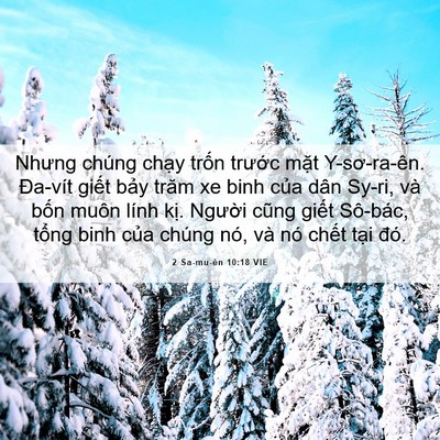 Picture 06 - 2 Sa-mu-ên 10:18 VIE - Nhưng chúng chạy trốn trước mặt - Bible Verse Picture