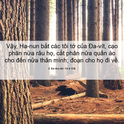 Picture 06 - 2 Sa-mu-ên 10:4 VIE - Vậy, Ha-nun bắt các tôi tớ của - Bible Verse Picture