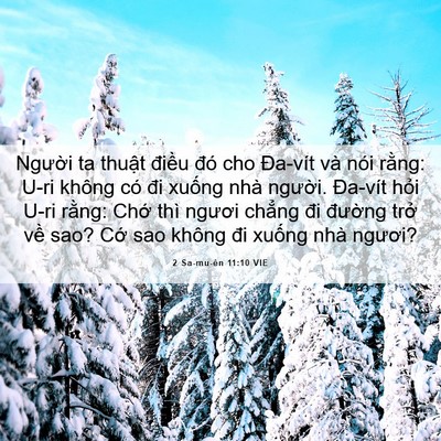 Picture 06 - 2 Sa-mu-ên 11:10 VIE - Người ta thuật điều đó cho Đa-vít và - Bible Verse Picture