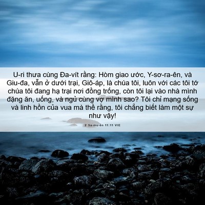 Picture 06 - 2 Sa-mu-ên 11:11 VIE - U-ri thưa cùng Đa-vít rằng: Hòm giao - Bible Verse Picture