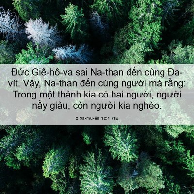 Picture 06 - 2 Sa-mu-ên 12:1 VIE - Đức Giê-hô-va sai Na-than đến cùng - Bible Verse Picture