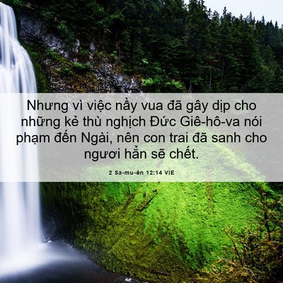 Picture 06 - 2 Sa-mu-ên 12:14 VIE - Nhưng vì việc nầy vua đã gây dịp cho - Bible Verse Picture