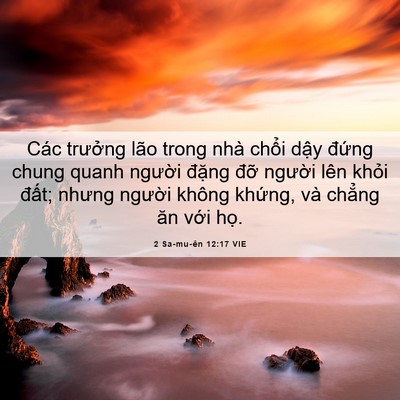 Picture 06 - 2 Sa-mu-ên 12:17 VIE - Các trưởng lão trong nhà chổi dậy - Bible Verse Picture