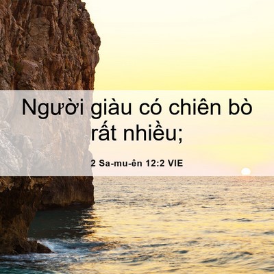 Picture 06 - 2 Sa-mu-ên 12:2 VIE - Người giàu có chiên bò rất - Bible Verse Picture