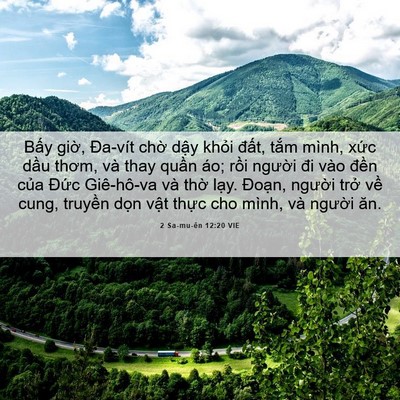 Picture 06 - 2 Sa-mu-ên 12:20 VIE - Bấy giờ, Đa-vít chờ dậy khỏi đất, - Bible Verse Picture