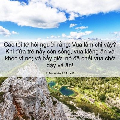 Picture 06 - 2 Sa-mu-ên 12:21 VIE - Các tôi tớ hỏi người rằng: Vua làm - Bible Verse Picture