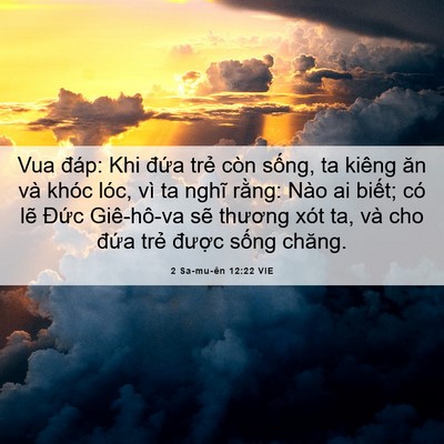 Picture 06 - 2 Sa-mu-ên 12:22 VIE - Vua đáp: Khi đứa trẻ còn sống, ta - Bible Verse Picture