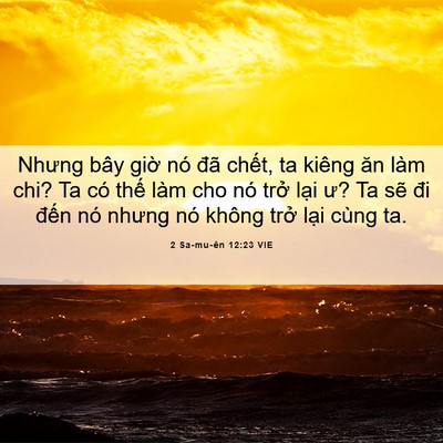 Picture 06 - 2 Sa-mu-ên 12:23 VIE - Nhưng bây giờ nó đã chết, ta kiêng ăn - Bible Verse Picture