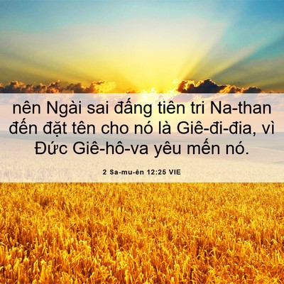 Picture 06 - 2 Sa-mu-ên 12:25 VIE - nên Ngài sai đấng tiên tri Na-than đến - Bible Verse Picture