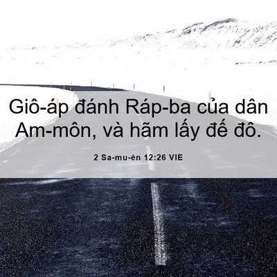 Picture 06 - 2 Sa-mu-ên 12:26 VIE - Giô-áp đánh Ráp-ba của dân Am-môn, và - Bible Verse Picture