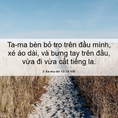 Picture 06 - 2 Sa-mu-ên 13:19 VIE - Ta-ma bèn bỏ tro trên đầu mình, xé áo - Bible Verse Picture