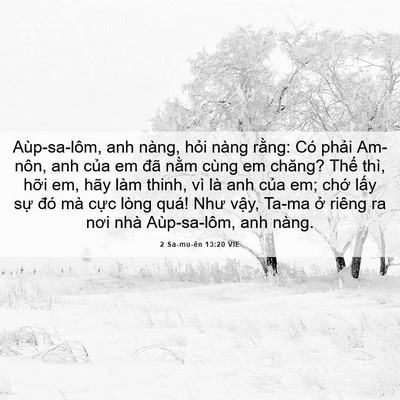 Picture 06 - 2 Sa-mu-ên 13:20 VIE - Aùp-sa-lôm, anh nàng, hỏi nàng rằng: Có - Bible Verse Picture