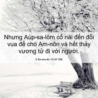 Picture 06 - 2 Sa-mu-ên 13:27 VIE - Nhưng Aùp-sa-lôm cố nài đến đỗi vua - Bible Verse Picture
