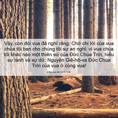Picture 06 - 2 Sa-mu-ên 14:17 VIE - Vậy, con đòi vua đã nghĩ rằng: Chớ chi - Bible Verse Picture