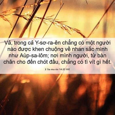 Picture 06 - 2 Sa-mu-ên 14:25 VIE - Vả, trong cả Y-sơ-ra-ên chẳng có một - Bible Verse Picture