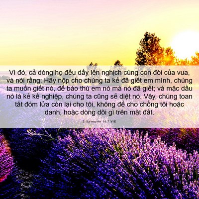 Picture 06 - 2 Sa-mu-ên 14:7 VIE - Vì đó, cả dòng họ đều dấy lên - Bible Verse Picture