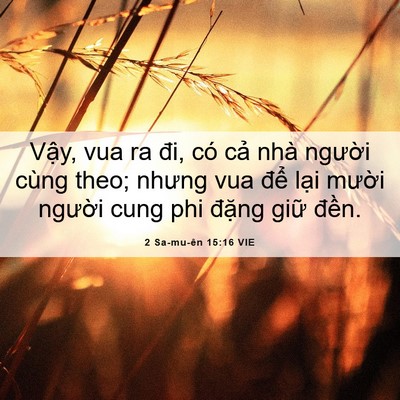 Picture 06 - 2 Sa-mu-ên 15:16 VIE - Vậy, vua ra đi, có cả nhà người cùng - Bible Verse Picture