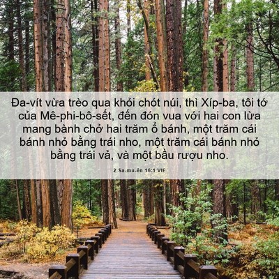 Picture 06 - 2 Sa-mu-ên 16:1 VIE - Đa-vít vừa trèo qua khỏi chót núi, thì - Bible Verse Picture