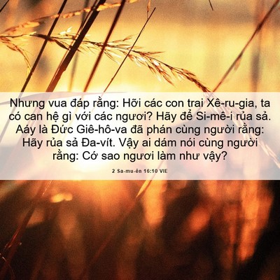 Picture 06 - 2 Sa-mu-ên 16:10 VIE - Nhưng vua đáp rằng: Hỡi các con trai - Bible Verse Picture