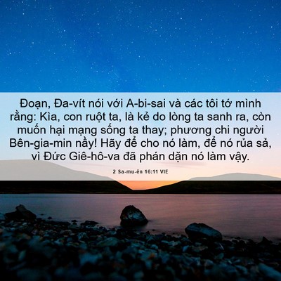 Picture 06 - 2 Sa-mu-ên 16:11 VIE - Đoạn, Đa-vít nói với A-bi-sai và các - Bible Verse Picture