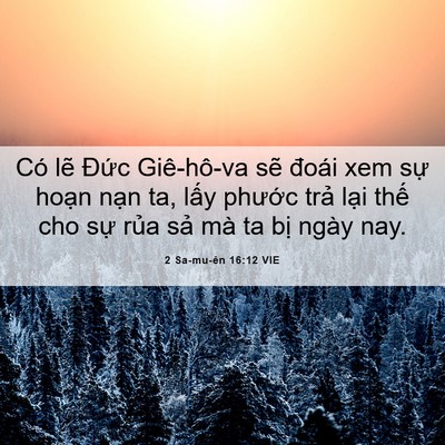 Picture 06 - 2 Sa-mu-ên 16:12 VIE - Có lẽ Đức Giê-hô-va sẽ đoái xem sự - Bible Verse Picture
