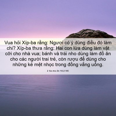 Picture 06 - 2 Sa-mu-ên 16:2 VIE - Vua hỏi Xíp-ba rằng: Ngươi có ý dùng - Bible Verse Picture