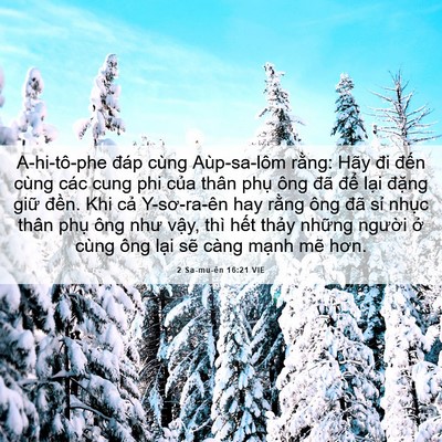Picture 06 - 2 Sa-mu-ên 16:21 VIE - A-hi-tô-phe đáp cùng Aùp-sa-lôm rằng: - Bible Verse Picture