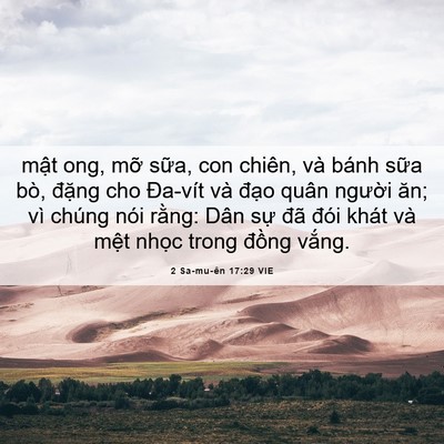 Picture 06 - 2 Sa-mu-ên 17:29 VIE - mật ong, mỡ sữa, con chiên, và bánh - Bible Verse Picture
