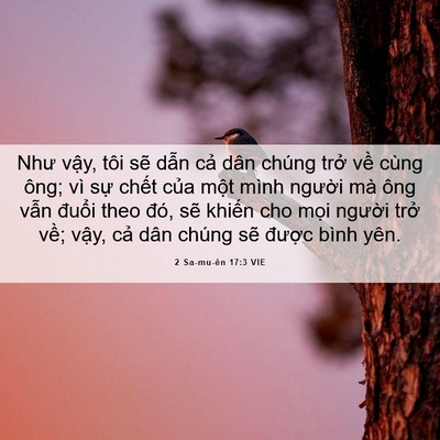 Picture 06 - 2 Sa-mu-ên 17:3 VIE - Như vậy, tôi sẽ dẫn cả dân chúng - Bible Verse Picture