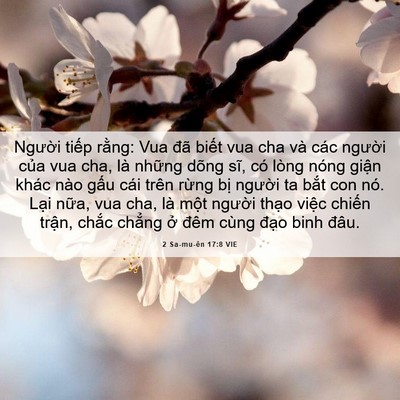 Picture 06 - 2 Sa-mu-ên 17:8 VIE - Người tiếp rằng: Vua đã biết vua cha - Bible Verse Picture