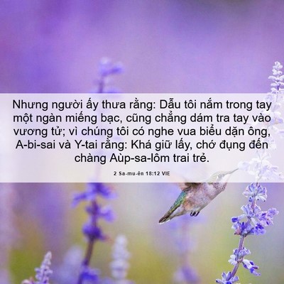 Picture 06 - 2 Sa-mu-ên 18:12 VIE - Nhưng người ấy thưa rằng: Dẫu tôi - Bible Verse Picture