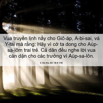 Picture 06 - 2 Sa-mu-ên 18:5 VIE - Vua truyền lịnh nầy cho Giô-áp, A-bi-sai, - Bible Verse Picture
