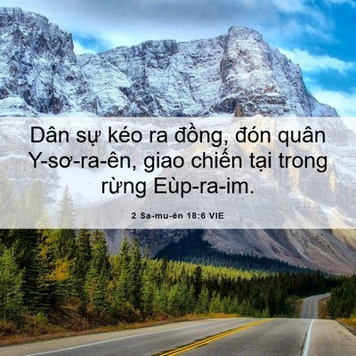 Picture 06 - 2 Sa-mu-ên 18:6 VIE - Dân sự kéo ra đồng, đón quân - Bible Verse Picture