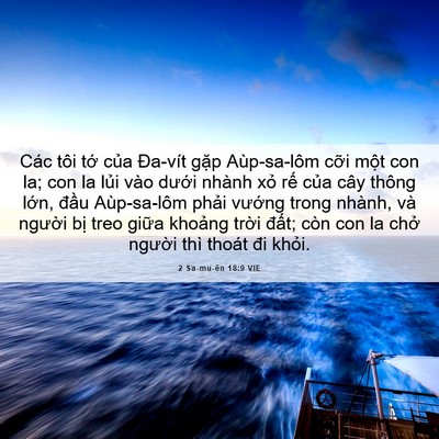 Picture 06 - 2 Sa-mu-ên 18:9 VIE - Các tôi tớ của Đa-vít gặp Aùp-sa-lôm - Bible Verse Picture