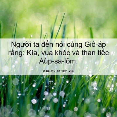 Picture 06 - 2 Sa-mu-ên 19:1 VIE - Người ta đến nói cùng Giô-áp rằng: - Bible Verse Picture