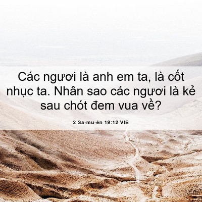 Picture 06 - 2 Sa-mu-ên 19:12 VIE - Các ngươi là anh em ta, là cốt nhục ta. - Bible Verse Picture