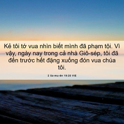 Picture 06 - 2 Sa-mu-ên 19:20 VIE - Kẻ tôi tớ vua nhìn biết mình đã phạm - Bible Verse Picture