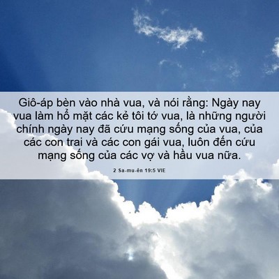 Picture 06 - 2 Sa-mu-ên 19:5 VIE - Giô-áp bèn vào nhà vua, và nói rằng: - Bible Verse Picture