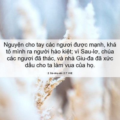 Picture 06 - 2 Sa-mu-ên 2:7 VIE - Nguyện cho tay các ngươi được mạnh, - Bible Verse Picture