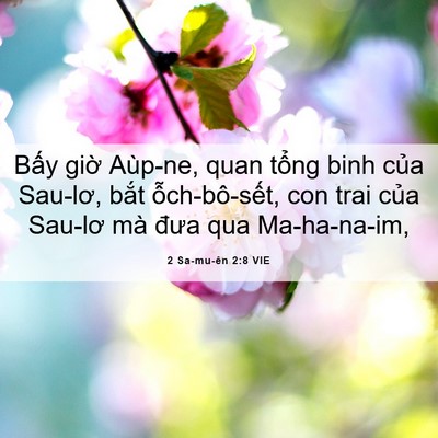 Picture 06 - 2 Sa-mu-ên 2:8 VIE - Bấy giờ Aùp-ne, quan tổng binh của - Bible Verse Picture