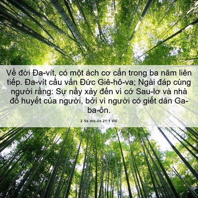 Picture 06 - 2 Sa-mu-ên 21:1 VIE - Về đời Đa-vít, có một ách cơ cẩn - Bible Verse Picture