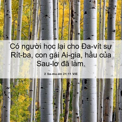 Picture 06 - 2 Sa-mu-ên 21:11 VIE - Có người học lại cho Đa-vít sự - Bible Verse Picture