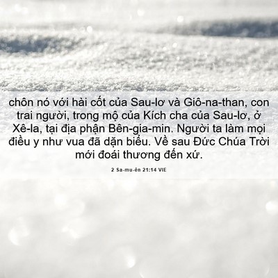 Picture 06 - 2 Sa-mu-ên 21:14 VIE - chôn nó với hài cốt của Sau-lơ và - Bible Verse Picture