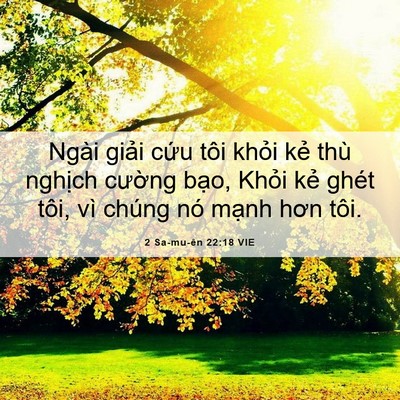 Picture 06 - 2 Sa-mu-ên 22:18 VIE - Ngài giải cứu tôi khỏi kẻ thù nghịch - Bible Verse Picture