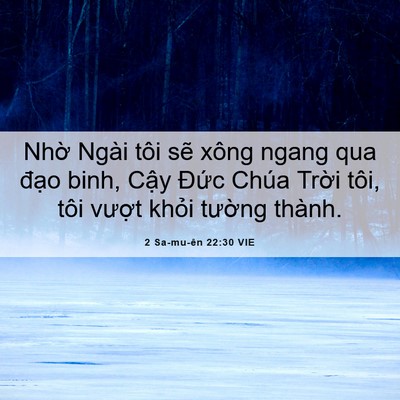 Picture 06 - 2 Sa-mu-ên 22:30 VIE - Nhờ Ngài tôi sẽ xông ngang qua đạo - Bible Verse Picture