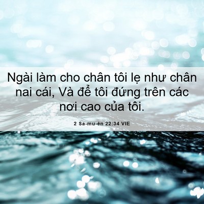 Picture 06 - 2 Sa-mu-ên 22:34 VIE - Ngài làm cho chân tôi lẹ như chân nai - Bible Verse Picture