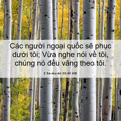 Picture 06 - 2 Sa-mu-ên 22:45 VIE - Các người ngoại quốc sẽ phục dưới - Bible Verse Picture