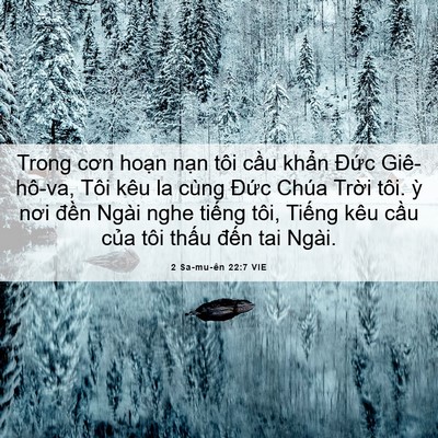 Picture 06 - 2 Sa-mu-ên 22:7 VIE - Trong cơn hoạn nạn tôi cầu khẩn Đức - Bible Verse Picture